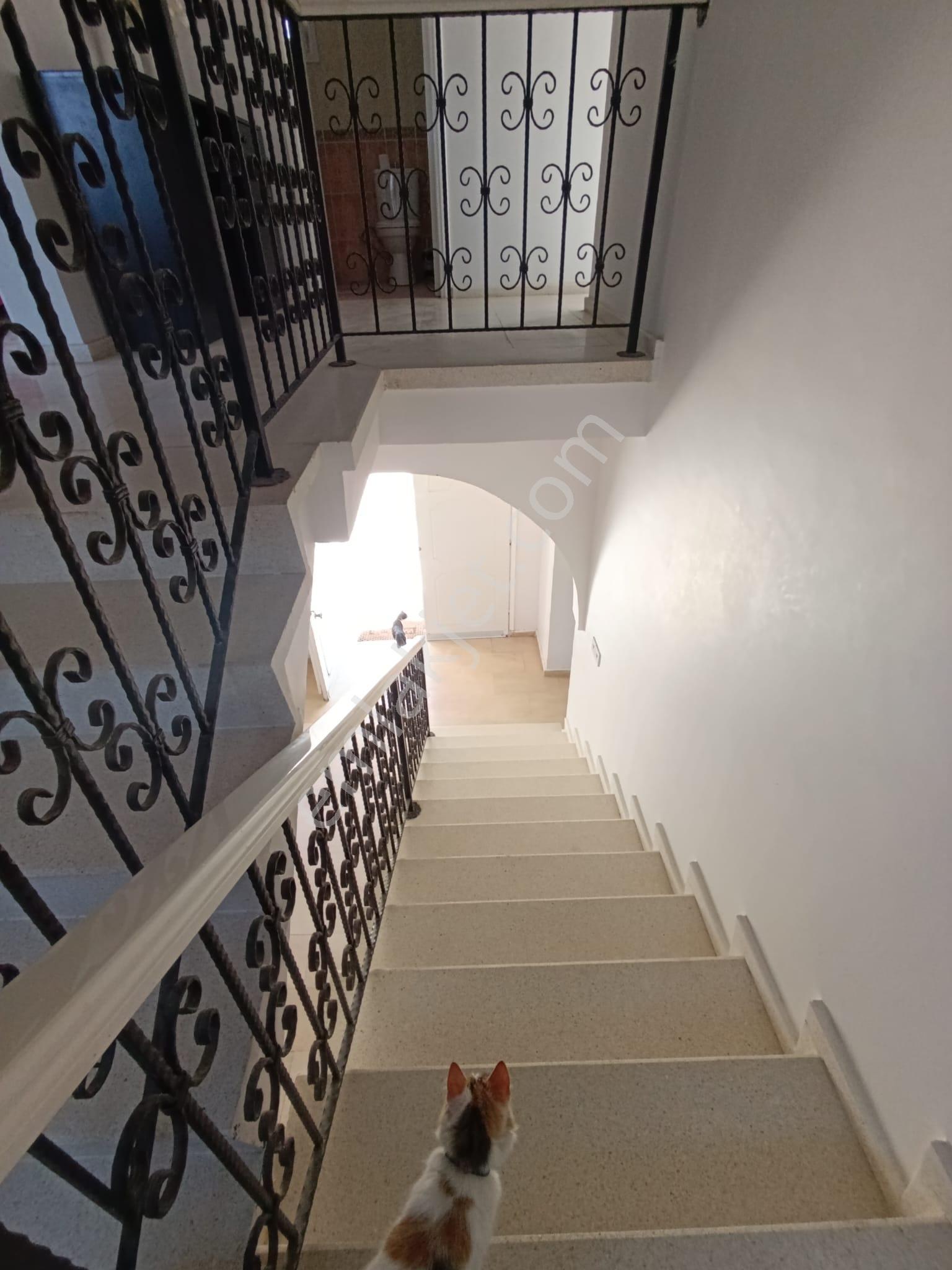 Satılık Luks Sahil Yoruyus Yolla Yakın Villas– Hayalinizdeki Ev Ve Yatırım Fırsatı - Görsel 12