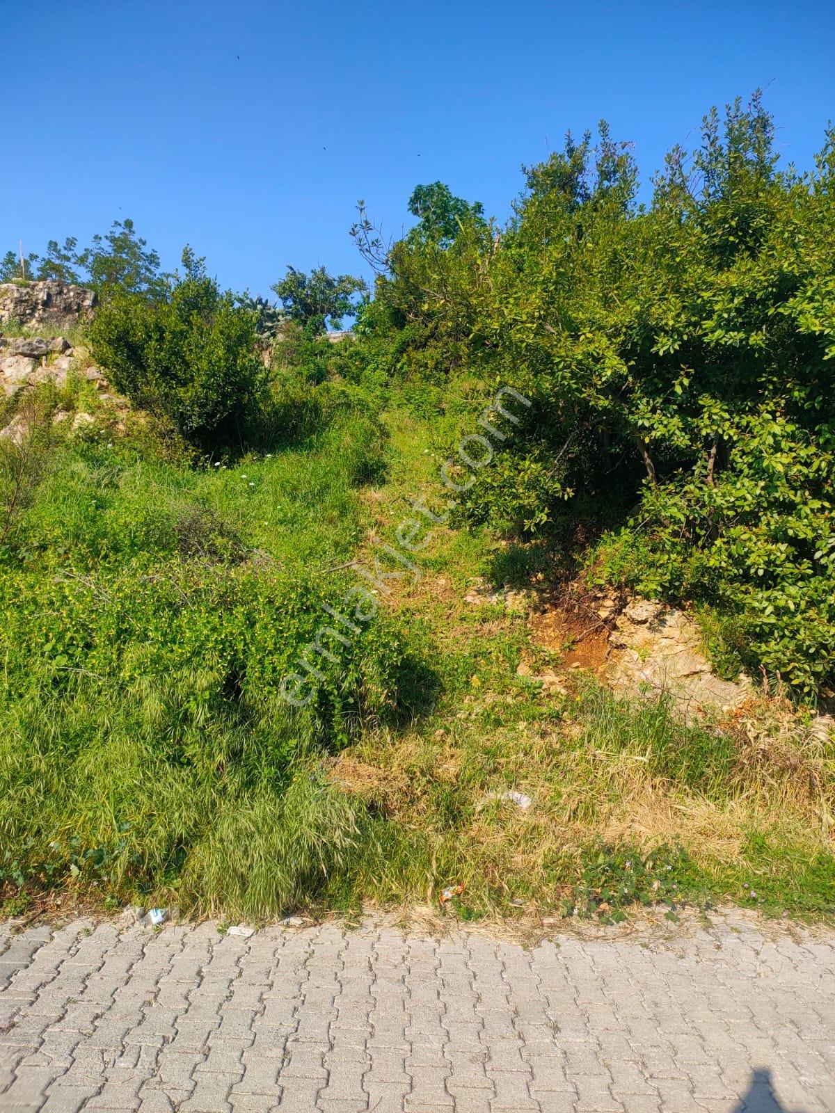 Thor'dan Samandağ Yaylıca Atatürk Mahallesi 499 M² Satılık Arsa - Görsel 12