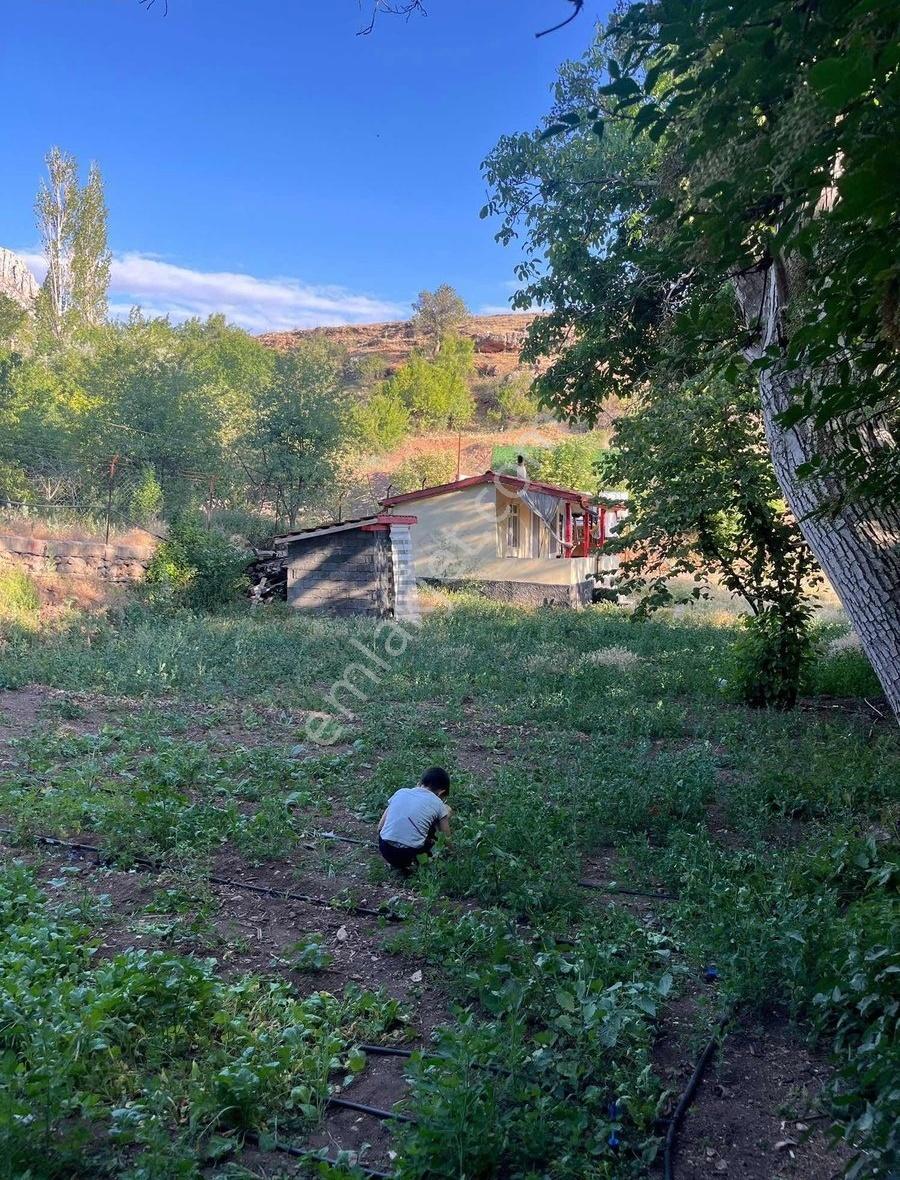 _-kızılören'de 932m2 Müstakil Hazır Kurulu Düzen Bahçe Ve Evi-_ - Görsel 4