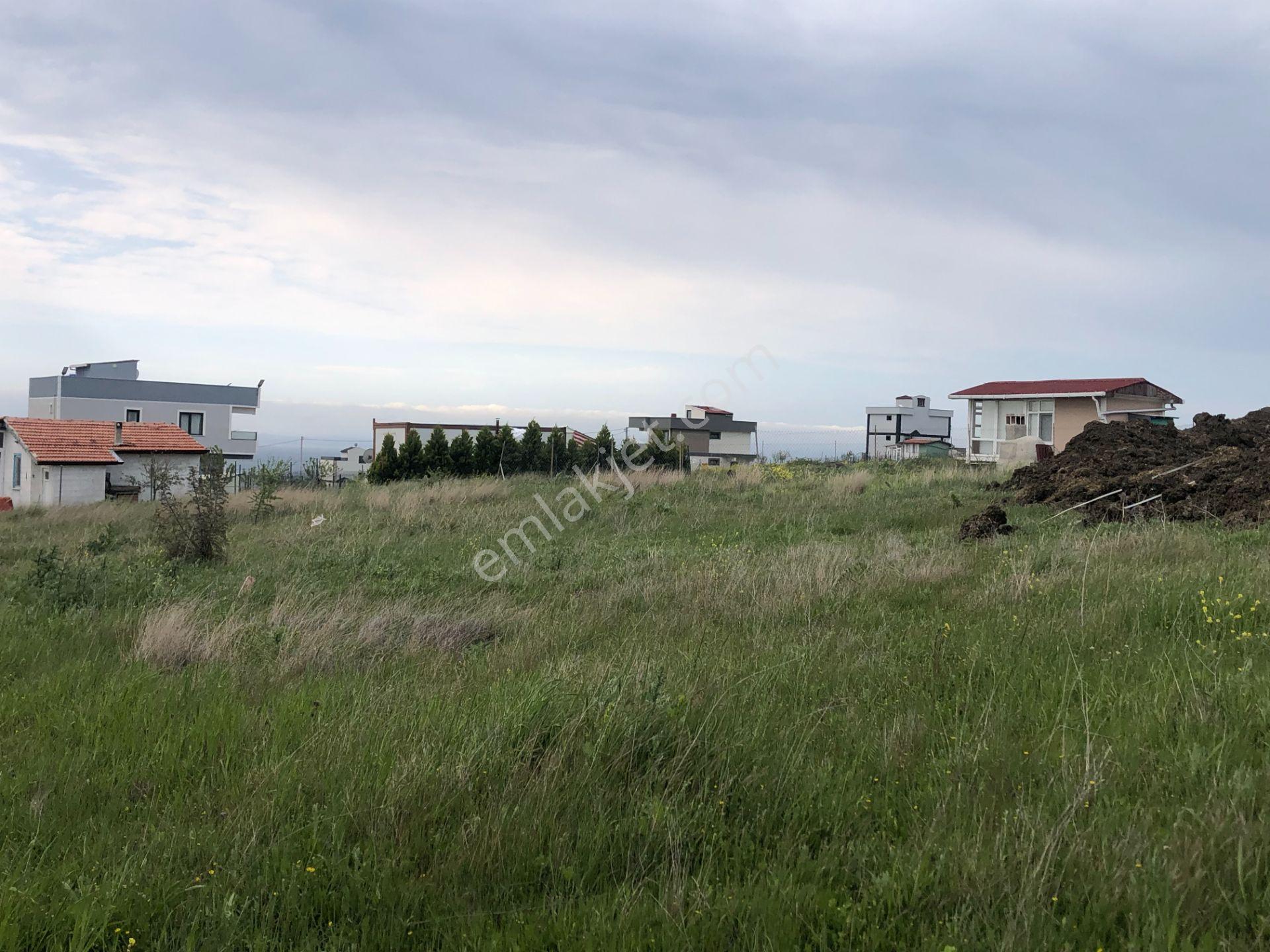 Şarköy De Işık Emlaltan İstiklal Mah De 0/25 İmarlı Arsa - Görsel 7