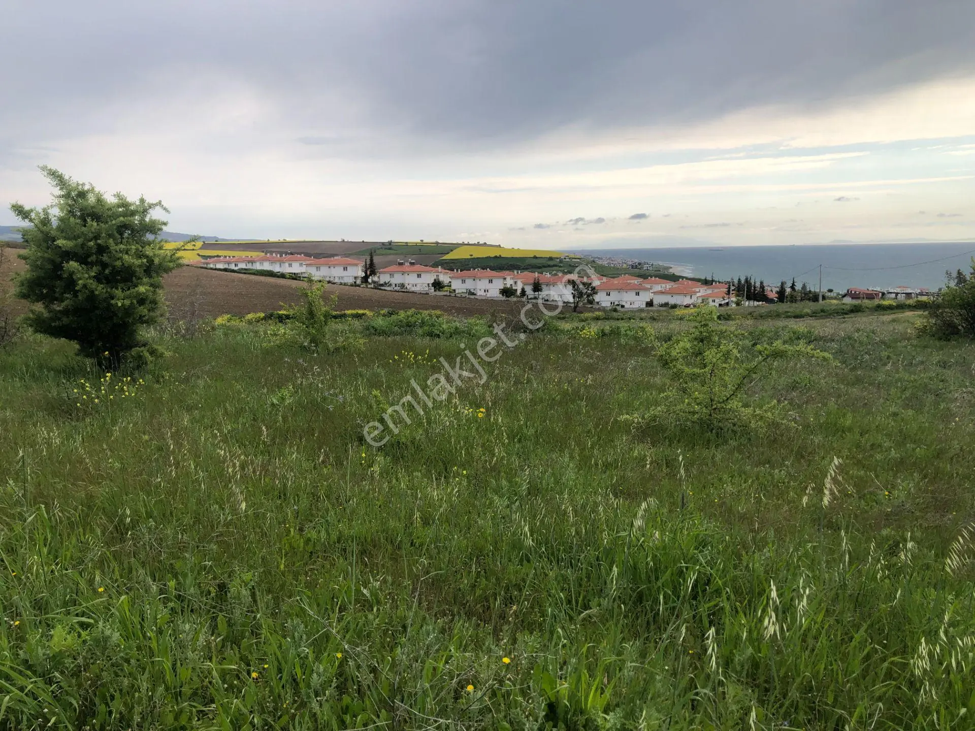 Şarköy De Işık Emlaltan İstiklal Mah De 0/25 İmarlı Arsa - Görsel 5