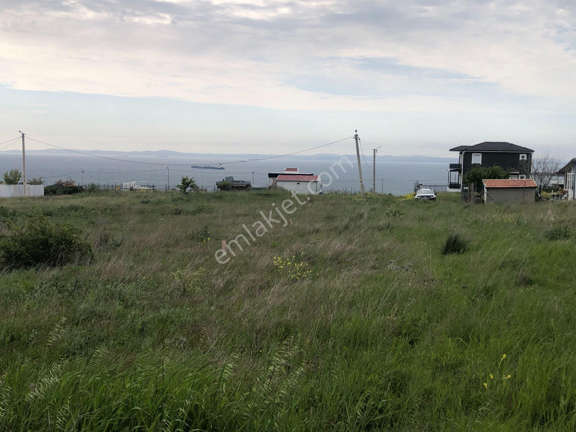 Şarköy De Işık Emlaltan İstiklal Mah De 0/25 İmarlı Arsa - Görsel 9