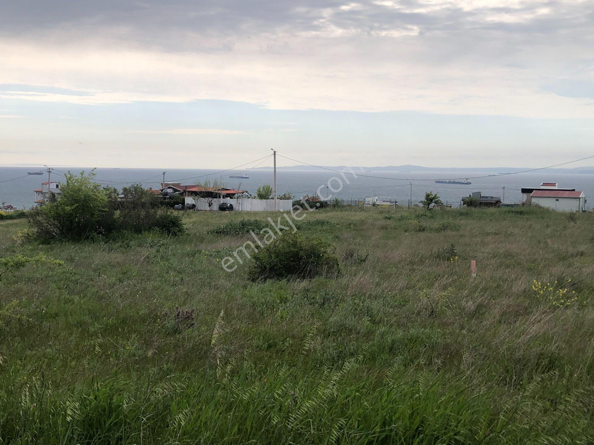 Şarköy De Işık Emlaltan İstiklal Mah De 0/25 İmarlı Arsa - Görsel 8