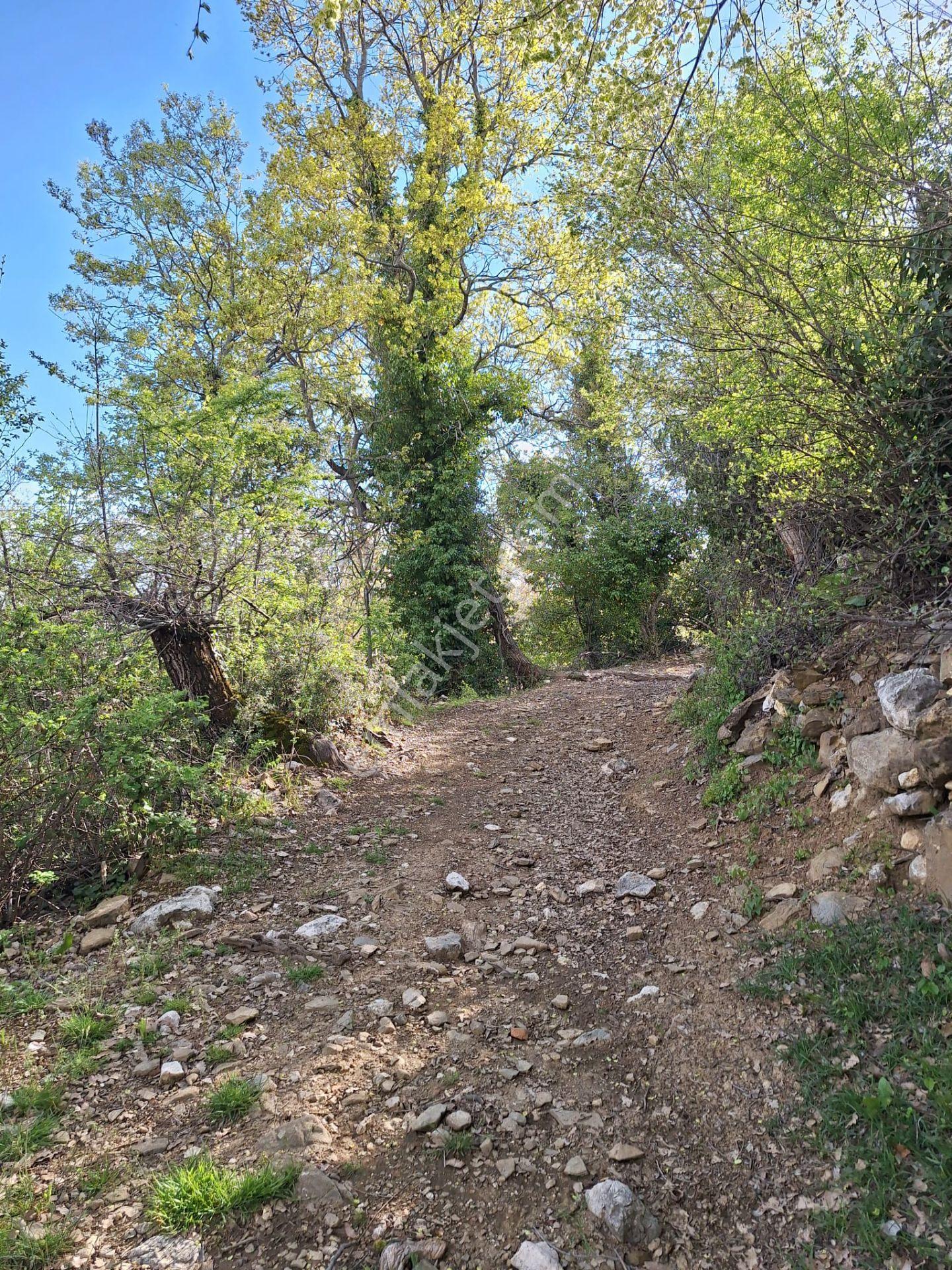 Ağlasun Kıraç Mahallesinde Doğa İle İç İçe Muhteşem Arazi - Görsel 26