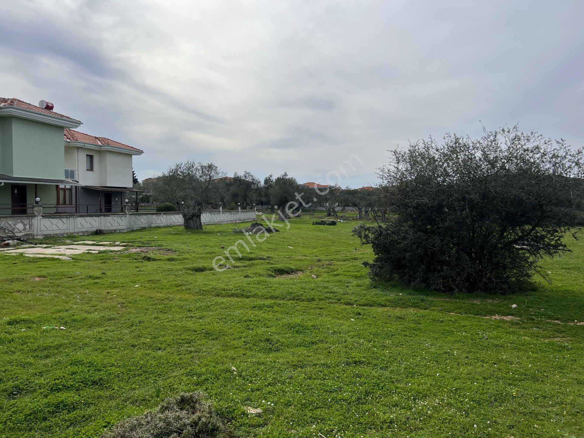 Ayvalık Camlık Ta Satılık 2540 Metre Kare Villa İmarlı Arsa - Görsel 10