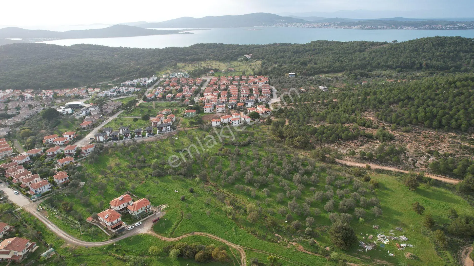 Ayvalık Camlık Ta Satılık 2540 Metre Kare Villa İmarlı Arsa