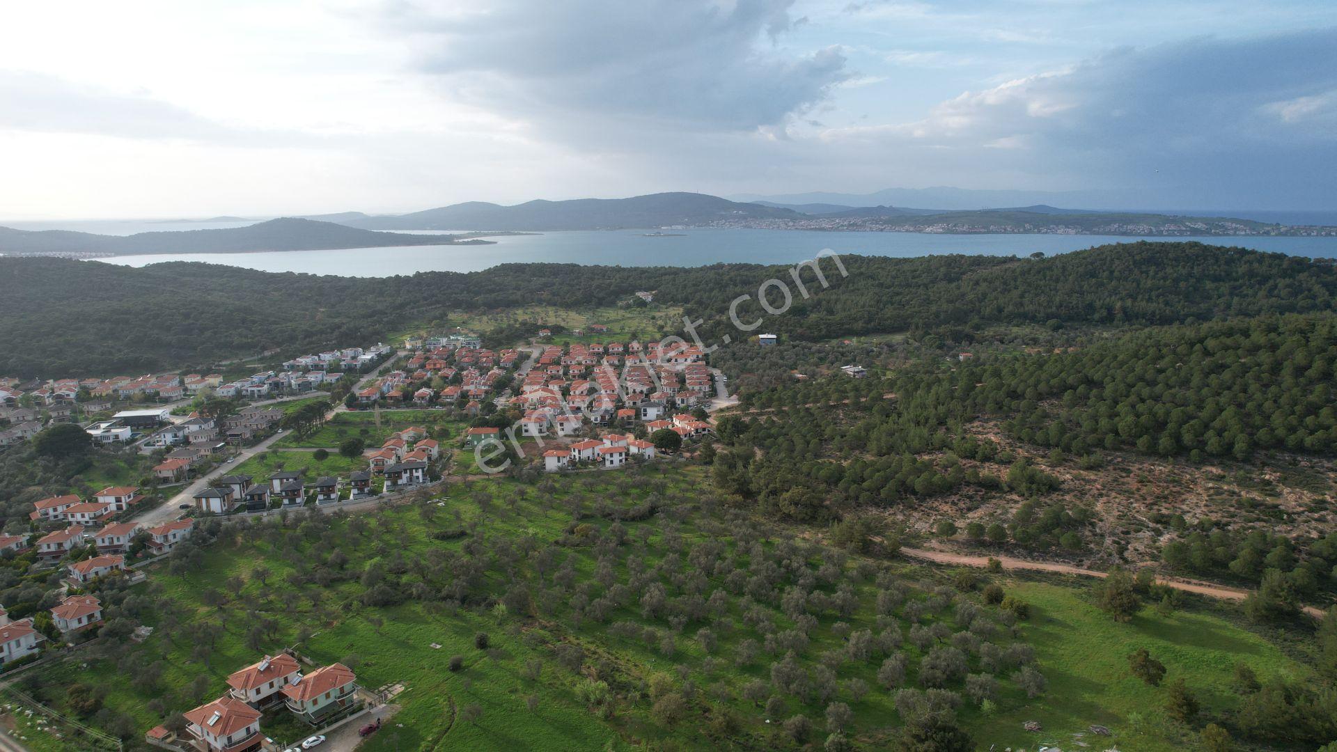 Ayvalık Camlık Ta Satılık 2540 Metre Kare Villa İmarlı Arsa - Görsel 9
