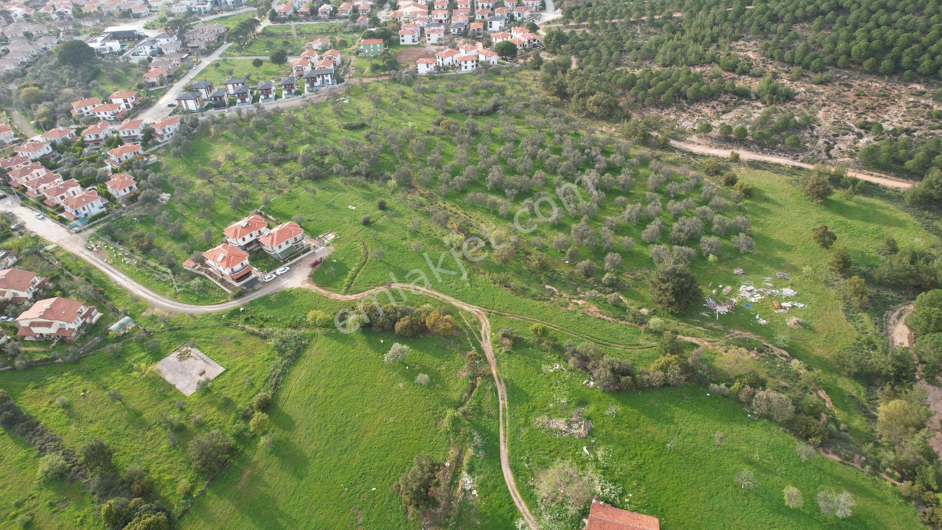 Ayvalık Camlık Ta Satılık 2540 Metre Kare Villa İmarlı Arsa - Görsel 3
