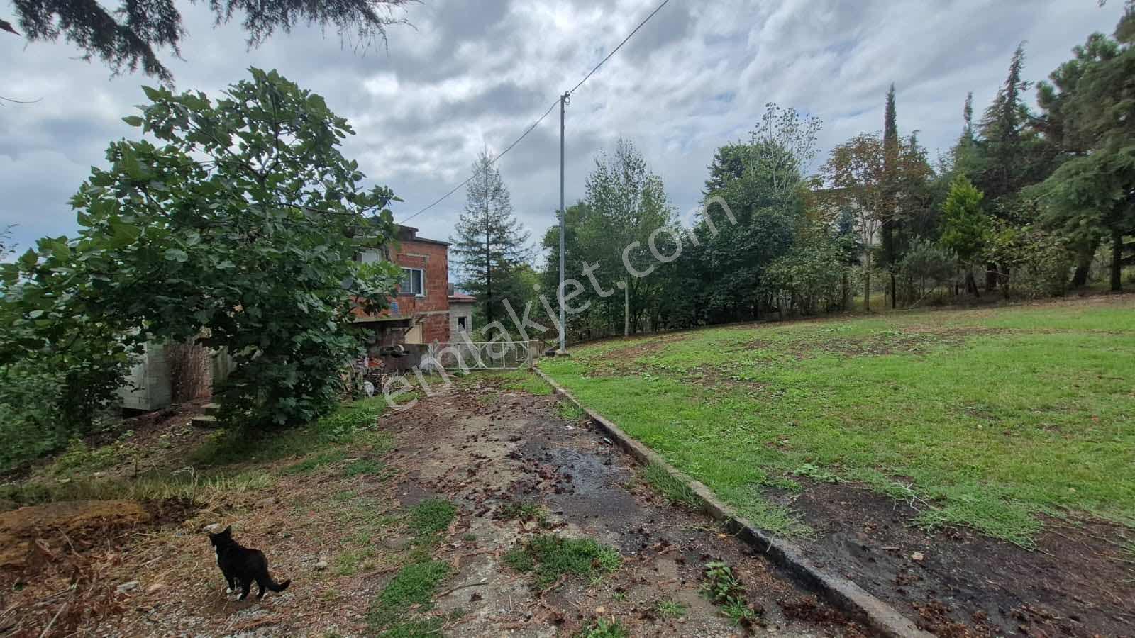 Burhanettin Mah. Hayvancılığa Uygun Villa Parasına 25dönüm - Görsel 21