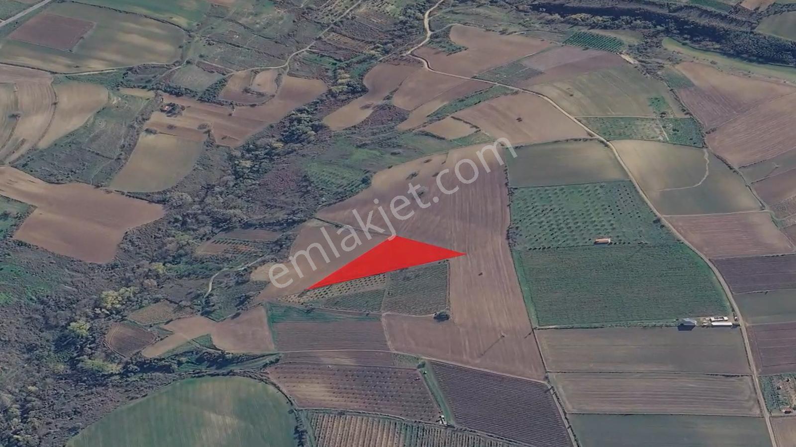 Asyaport Limanı Mevcut İmar Planı İçinde Kısa Vadede Yatırımcılara Yüksek Kazanç Garantisi - Görsel 15