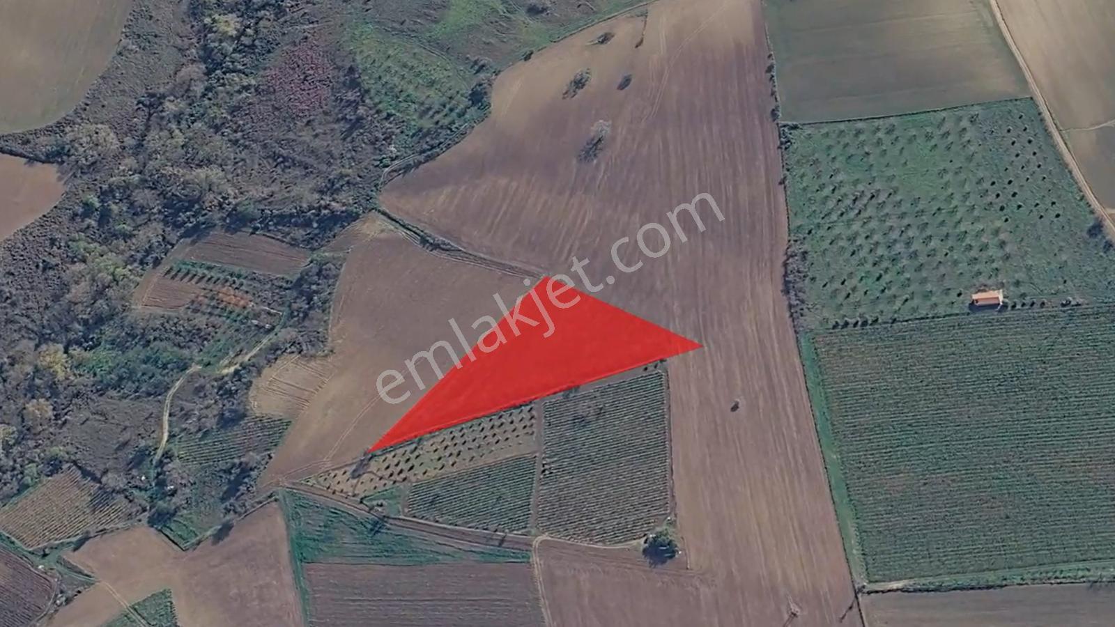 Asyaport Limanı Mevcut İmar Planı İçinde Kısa Vadede Yatırımcılara Yüksek Kazanç Garantisi - Görsel 4