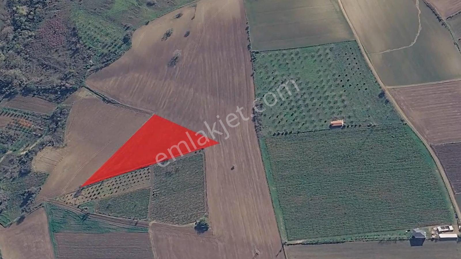 Asyaport Limanı Mevcut İmar Planı İçinde Kısa Vadede Yatırımcılara Yüksek Kazanç Garantisi - Görsel 11