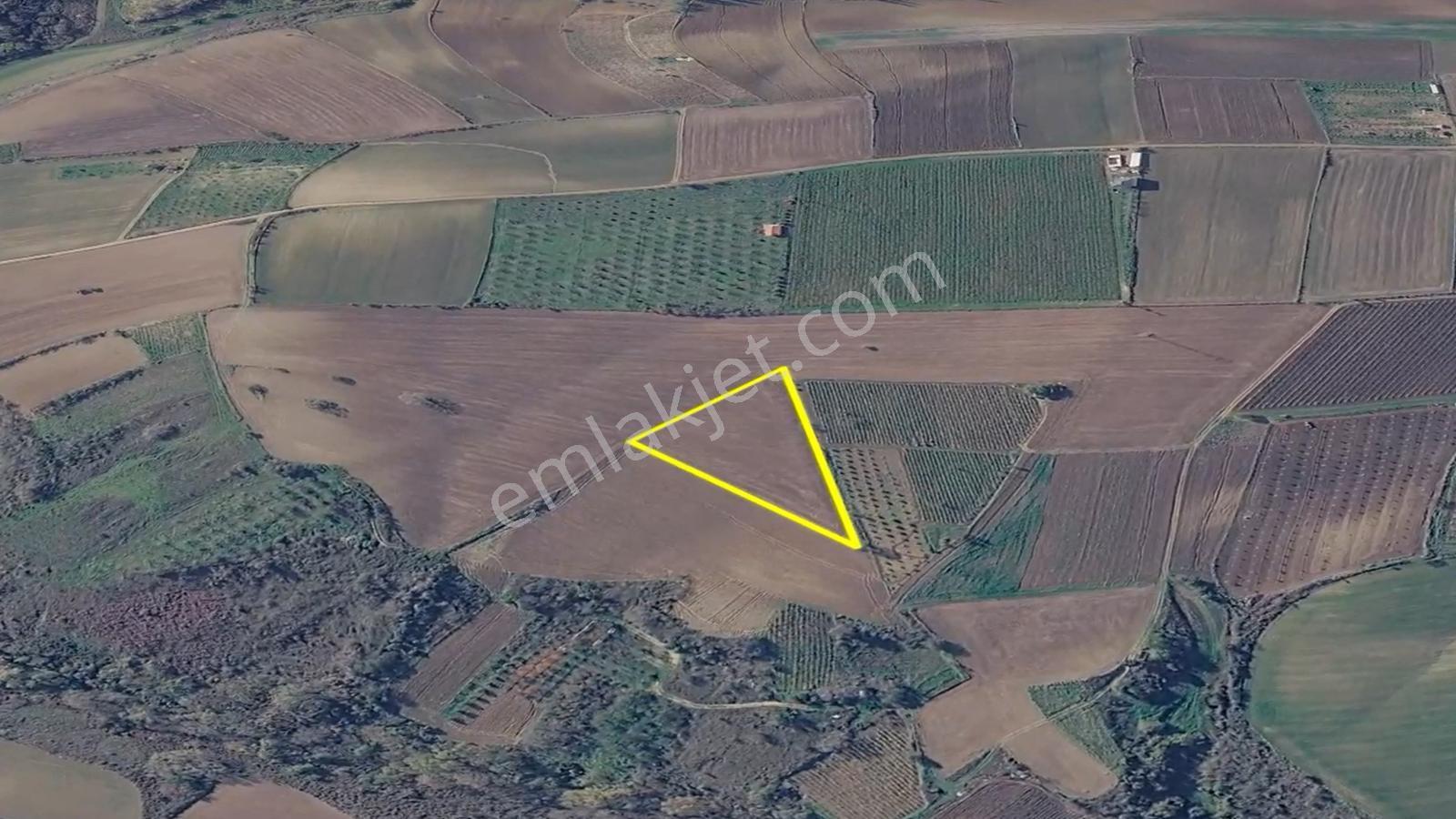 Asyaport Limanı Mevcut İmar Planı İçinde Kısa Vadede Yatırımcılara Yüksek Kazanç Garantisi - Görsel 22