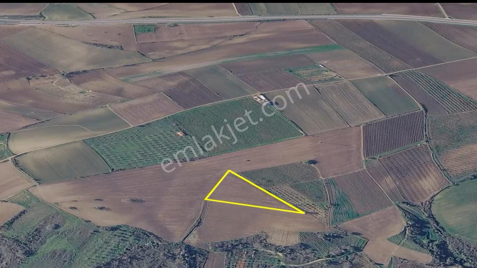 Asyaport Limanı Mevcut İmar Planı İçinde Kısa Vadede Yatırımcılara Yüksek Kazanç Garantisi - Görsel 13