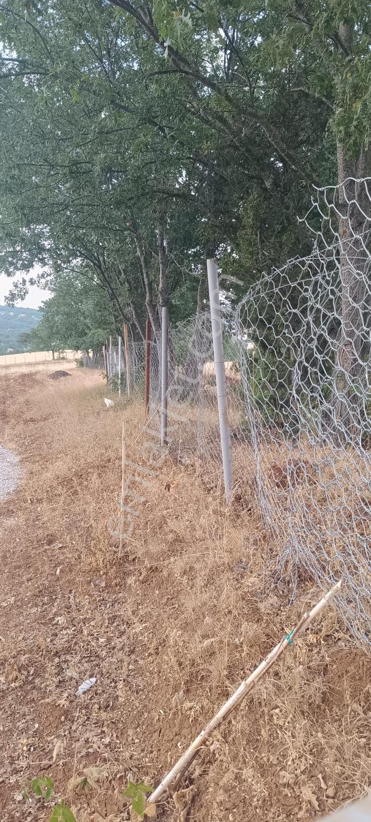 Kolçan Emlak Tan Yenice De Fırsat Tarla - Görsel 4