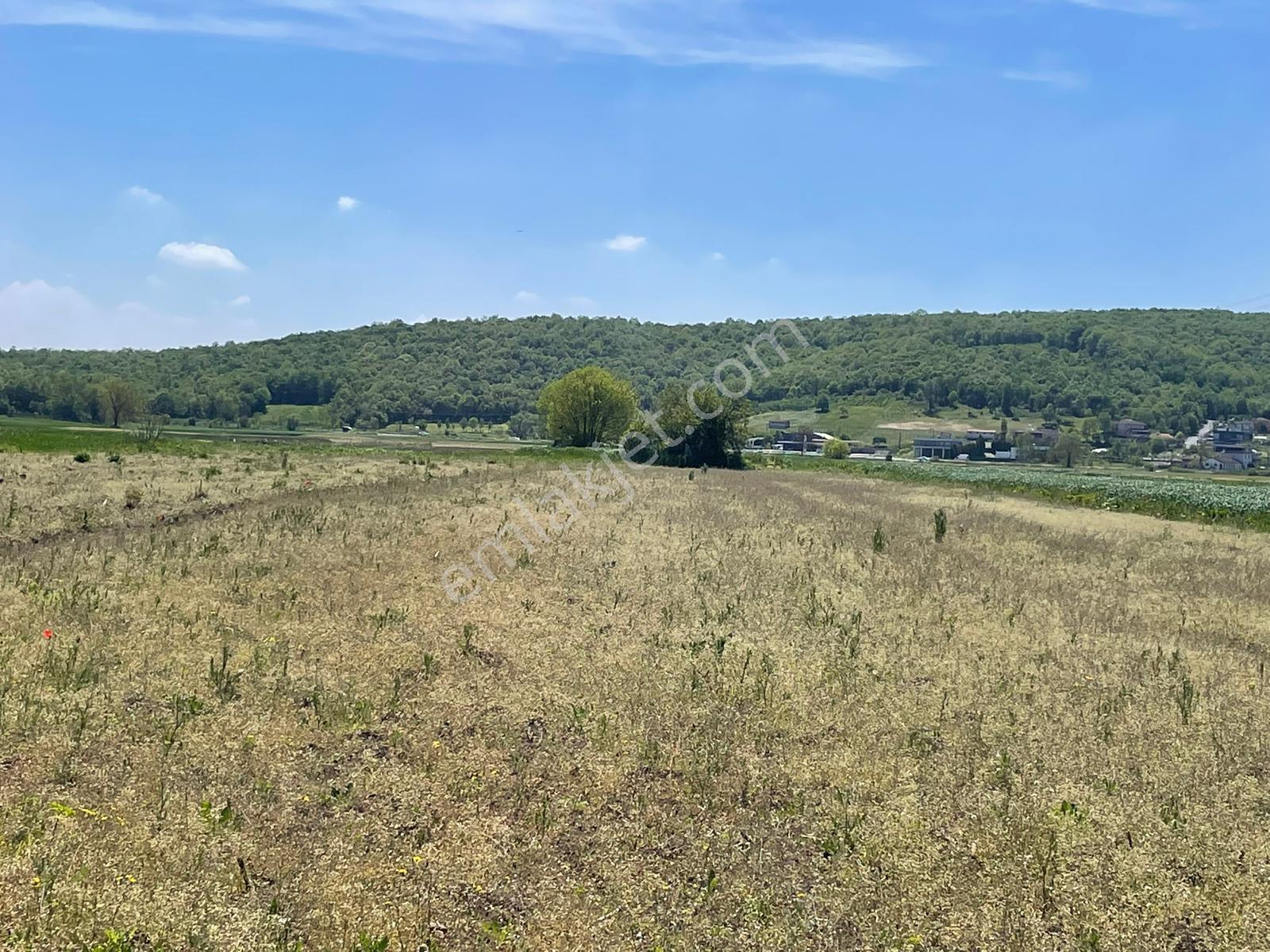 Söğütlü Kurudilde 1064m2 Çift Taraftan Yollu Fırsat - Görsel 19