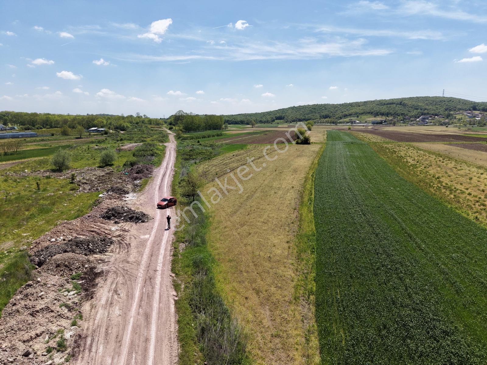 Söğütlü Kurudilde 1064m2 Çift Taraftan Yollu Fırsat - Görsel 3