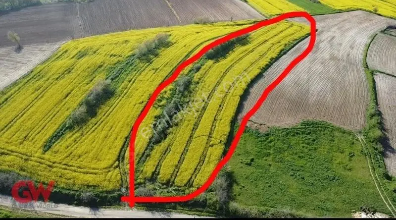 Haybolu Hedeylide 1 Alana 1 Bedava Fırsat Arsa