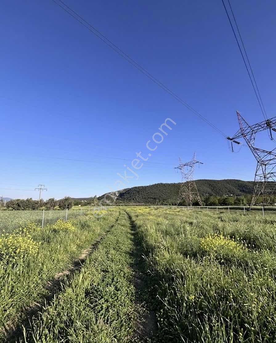 Satılık Tarla Kurulu Düzen 2.060m2 Asfalt Yola Sıfır - Görsel 13