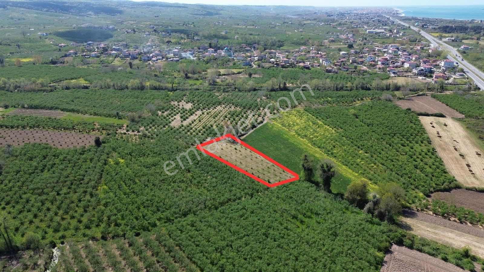 Karasu Kuyumculu Mahallesinde Satılık Fırsat Tarla - Görsel 2