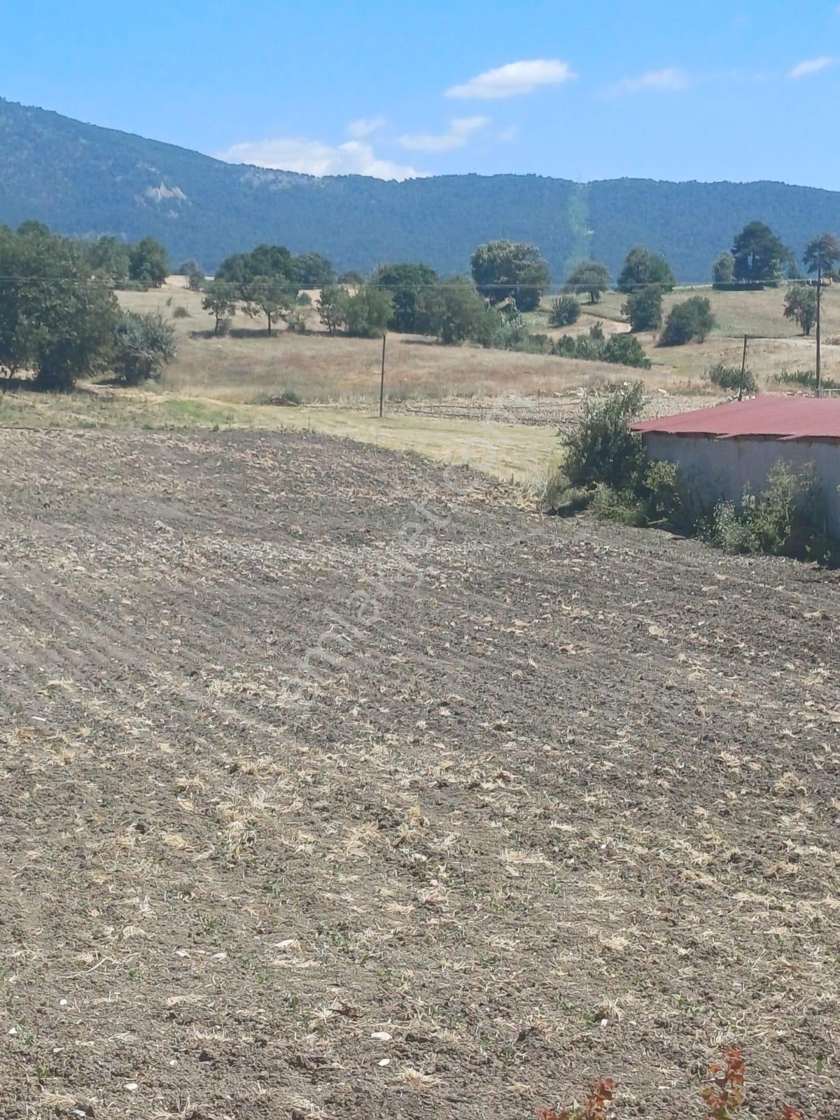 Balıkesir Dursunbey Hamzacık 4448m2 Satılık Tarla