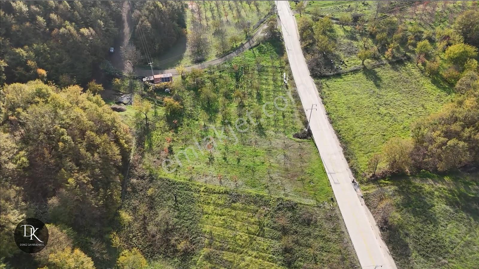 Karamürsel Akçat'ta Evi Ve Meyve Ağaçları Bulunan %5'li Arazi - Görsel 7