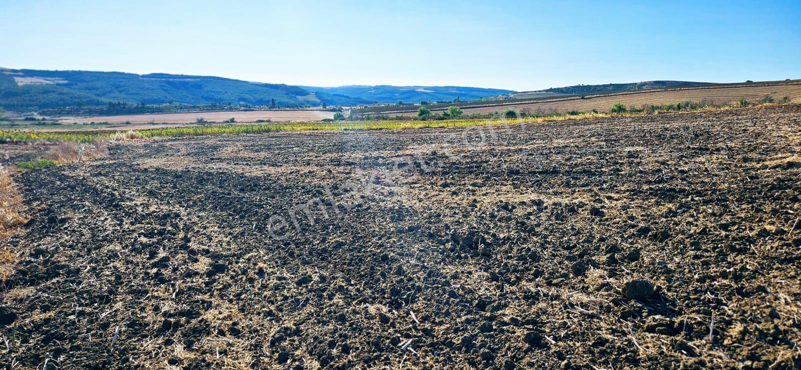 Asyaport Limanı Mevcut İmara Çok Yakın Bölgede Emsallerine Göre Fırsat Arazi Yüksek Kazanç Garantis - Görsel 13
