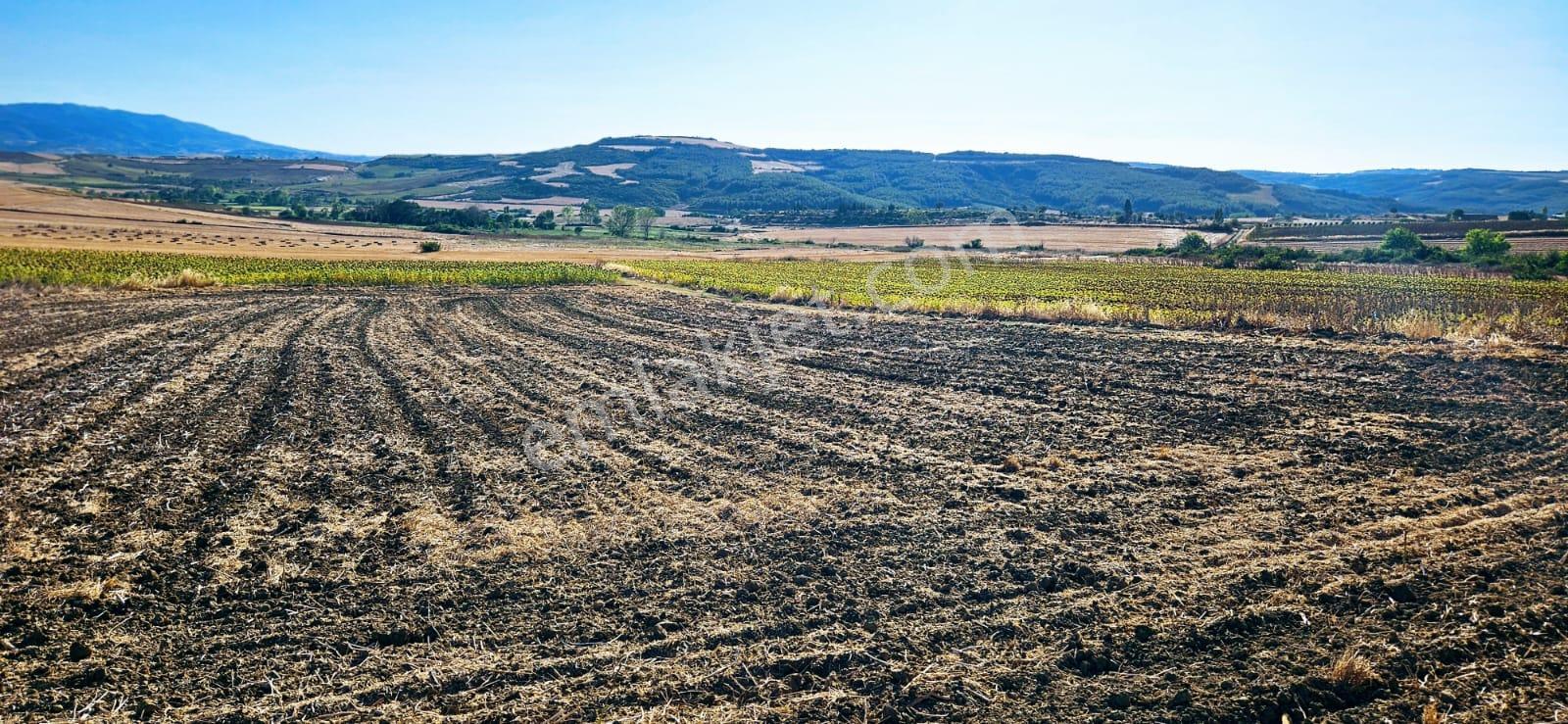 Asyaport Limanı Mevcut İmara Çok Yakın Bölgede Emsallerine Göre Fırsat Arazi Yüksek Kazanç Garantis - Görsel 23