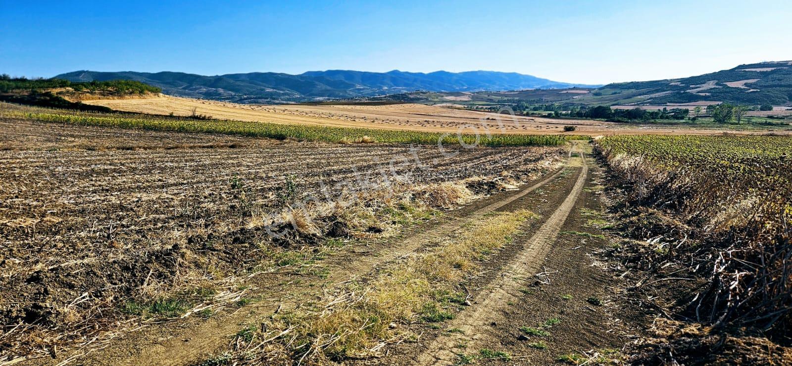 Asyaport Limanı Mevcut İmara Çok Yakın Bölgede Emsallerine Göre Fırsat Arazi Yüksek Kazanç Garantis - Görsel 24