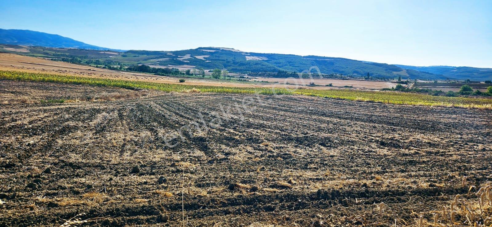 Asyaport Limanı Mevcut İmara Çok Yakın Bölgede Emsallerine Göre Fırsat Arazi Yüksek Kazanç Garantis - Görsel 17