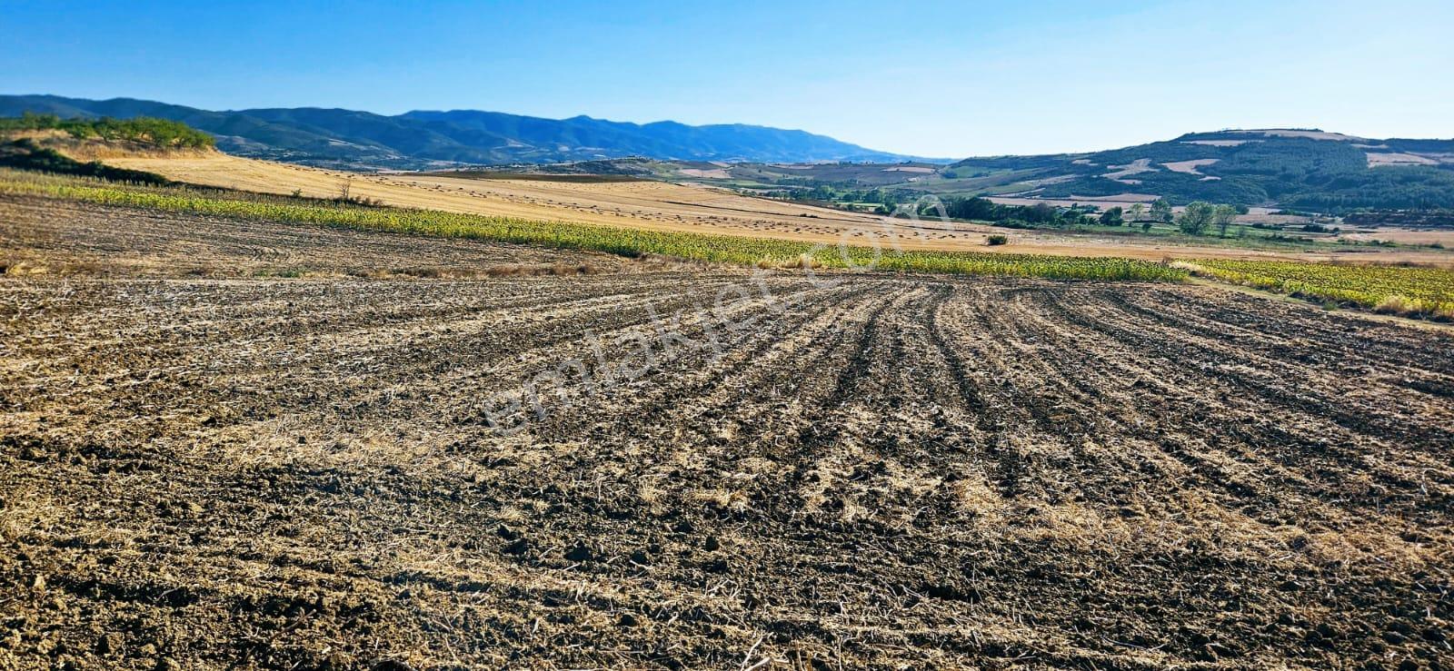 Asyaport Limanı Mevcut İmara Çok Yakın Bölgede Emsallerine Göre Fırsat Arazi Yüksek Kazanç Garantis - Görsel 22