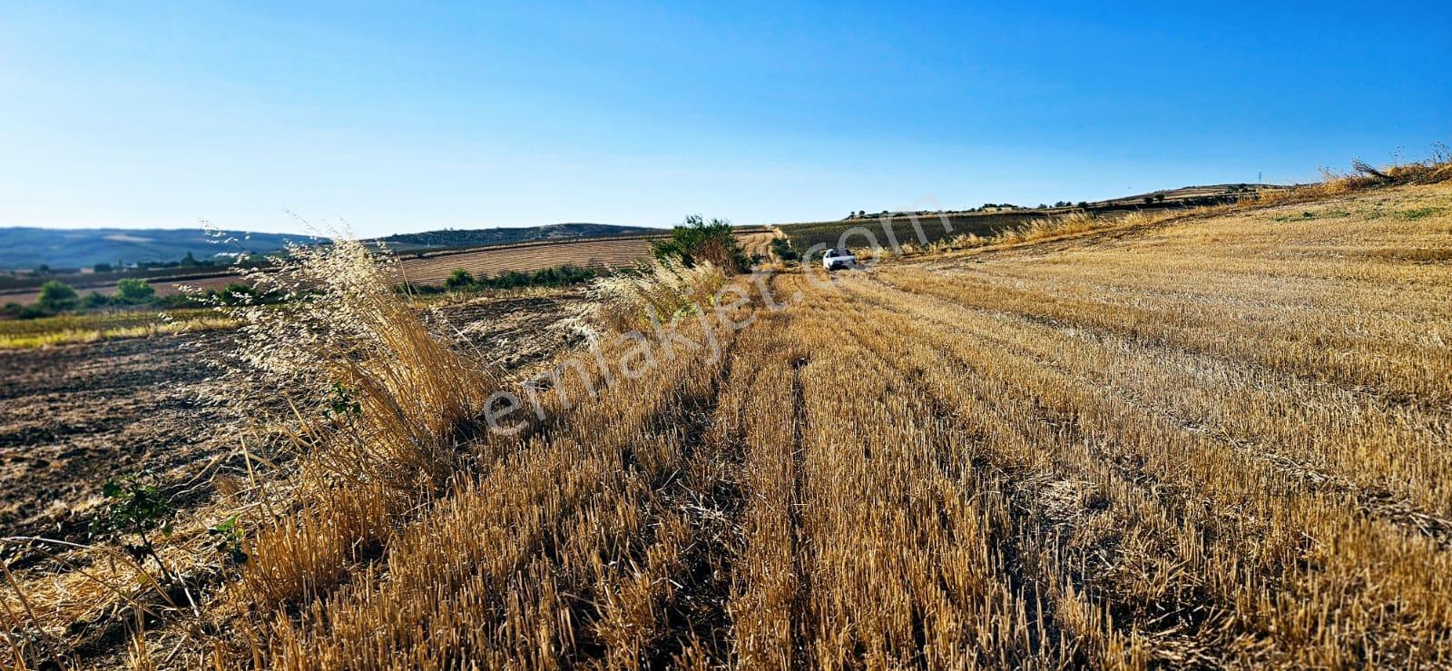 Asyaport Limanı Mevcut İmara Çok Yakın Bölgede Emsallerine Göre Fırsat Arazi Yüksek Kazanç Garantis - Görsel 16
