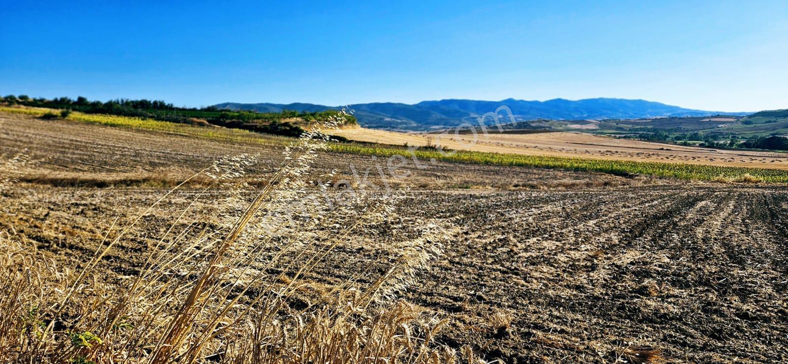Asyaport Limanı Mevcut İmara Çok Yakın Bölgede Emsallerine Göre Fırsat Arazi Yüksek Kazanç Garantis - Görsel 19