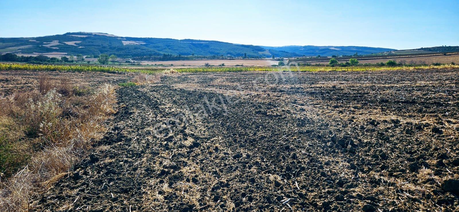 Asyaport Limanı Mevcut İmara Çok Yakın Bölgede Emsallerine Göre Fırsat Arazi Yüksek Kazanç Garantis - Görsel 11