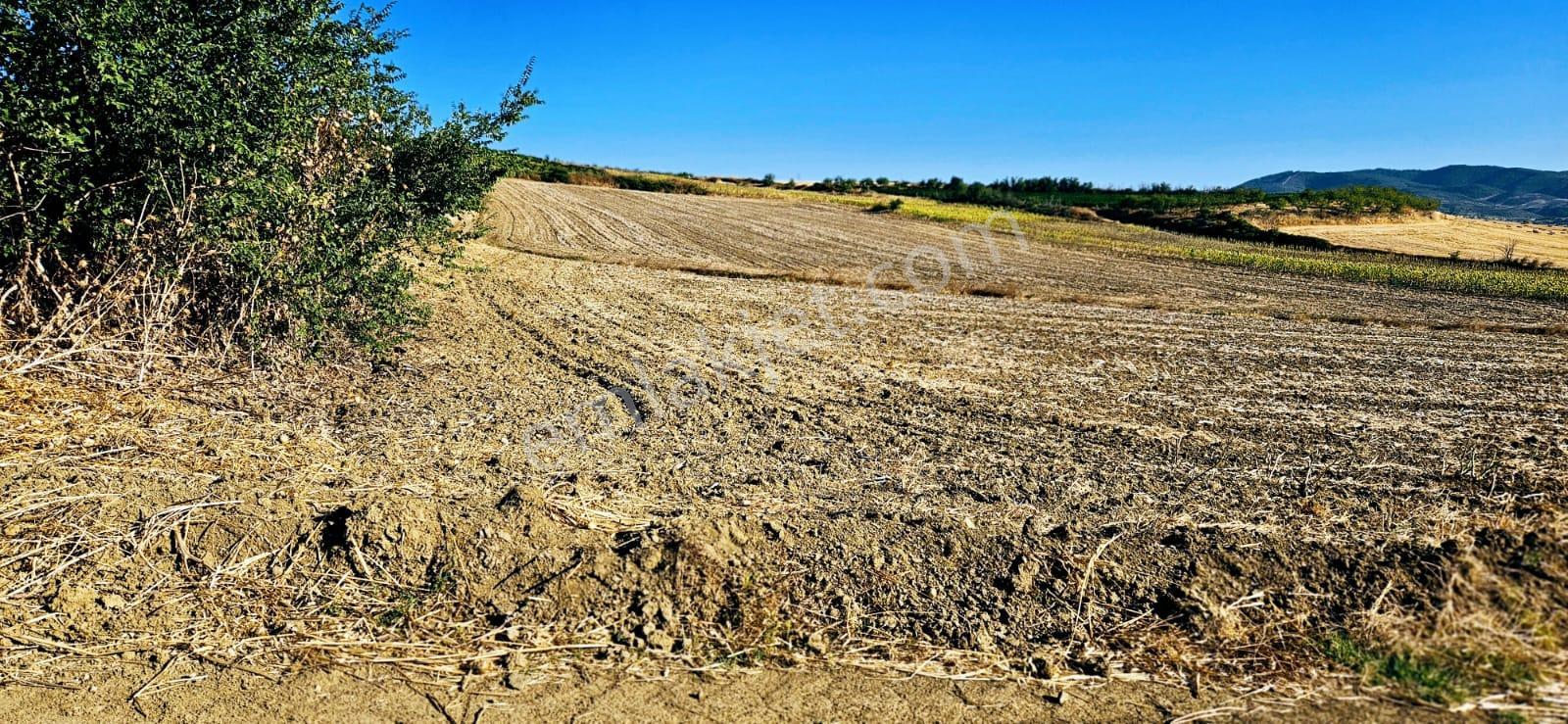 Asyaport Limanı Mevcut İmara Çok Yakın Bölgede Emsallerine Göre Fırsat Arazi Yüksek Kazanç Garantis - Görsel 5