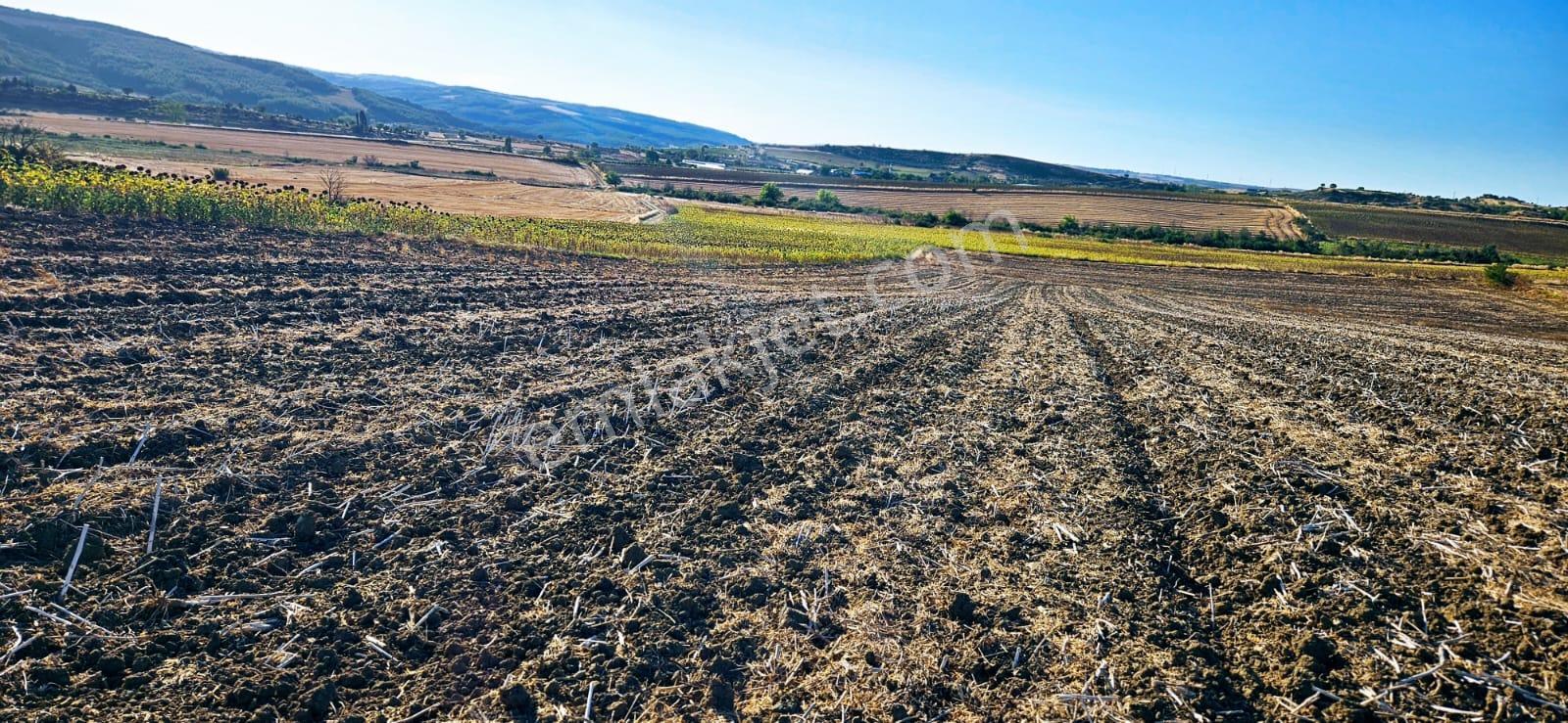 Asyaport Limanı Mevcut İmara Çok Yakın Bölgede Emsallerine Göre Fırsat Arazi Yüksek Kazanç Garantis - Görsel 7