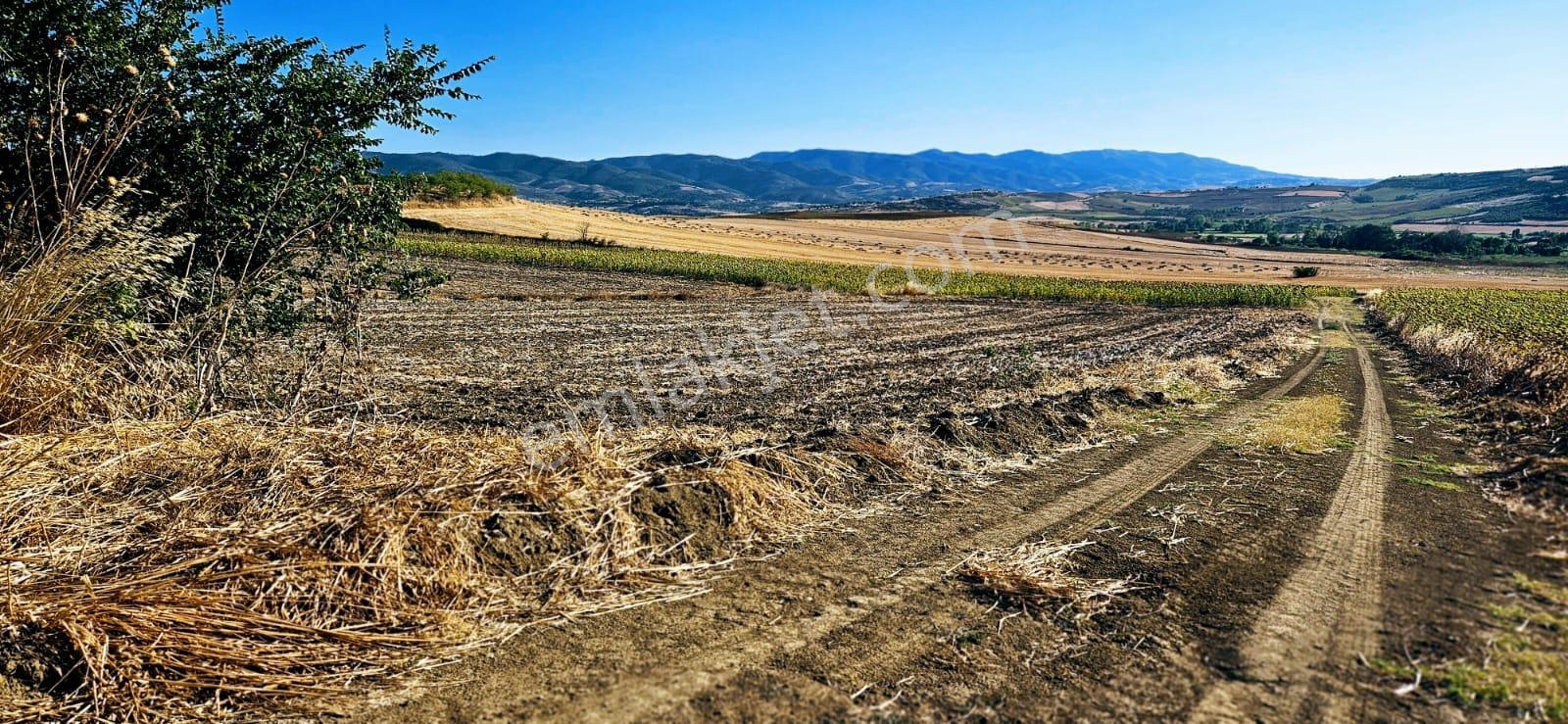 Asyaport Limanı Mevcut İmara Çok Yakın Bölgede Emsallerine Göre Fırsat Arazi Yüksek Kazanç Garantis - Görsel 6