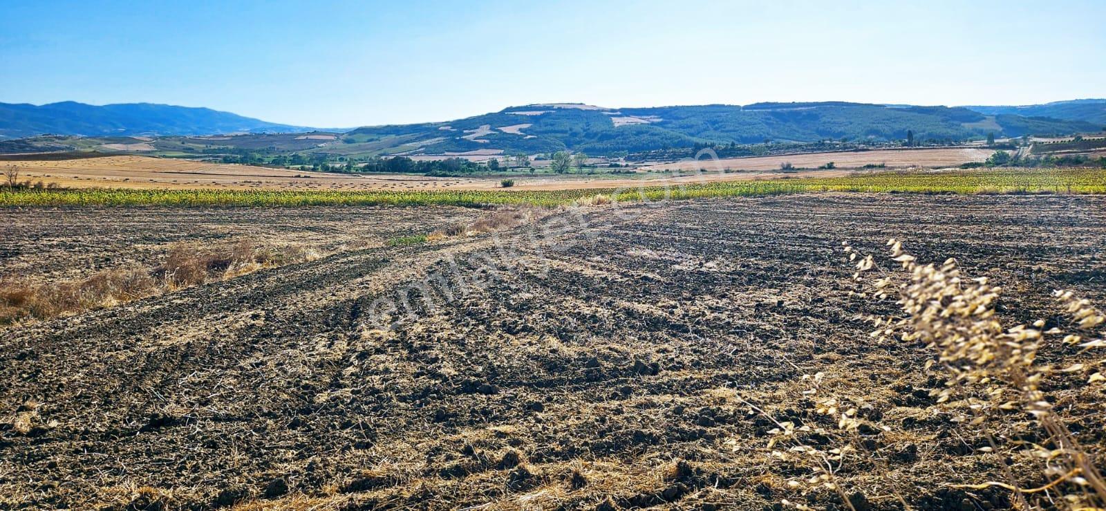 Asyaport Limanı Mevcut İmara Çok Yakın Bölgede Emsallerine Göre Fırsat Arazi Yüksek Kazanç Garantis - Görsel 4