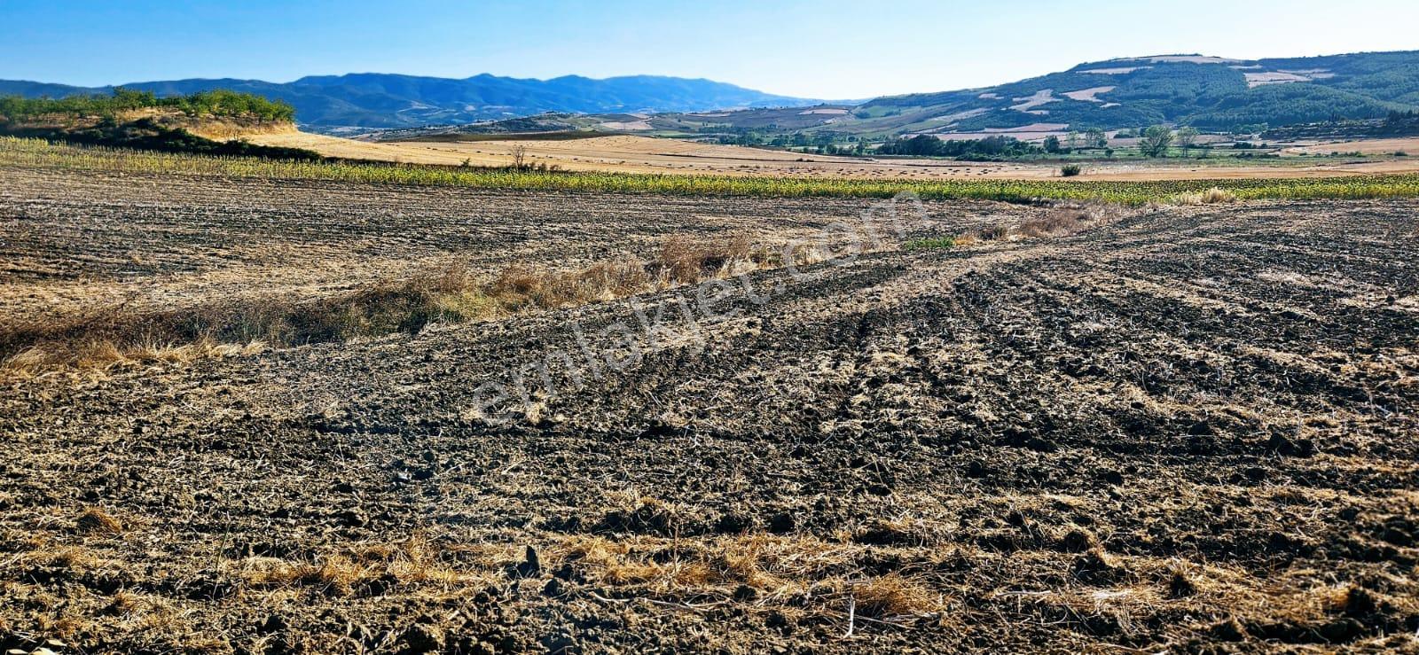 Asyaport Limanı Mevcut İmara Çok Yakın Bölgede Emsallerine Göre Fırsat Arazi Yüksek Kazanç Garantis - Görsel 15