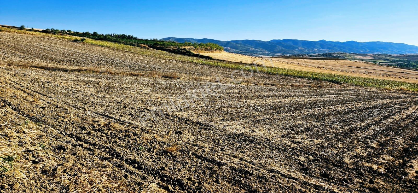 Asyaport Limanı Mevcut İmara Çok Yakın Bölgede Emsallerine Göre Fırsat Arazi Yüksek Kazanç Garantis - Görsel 21