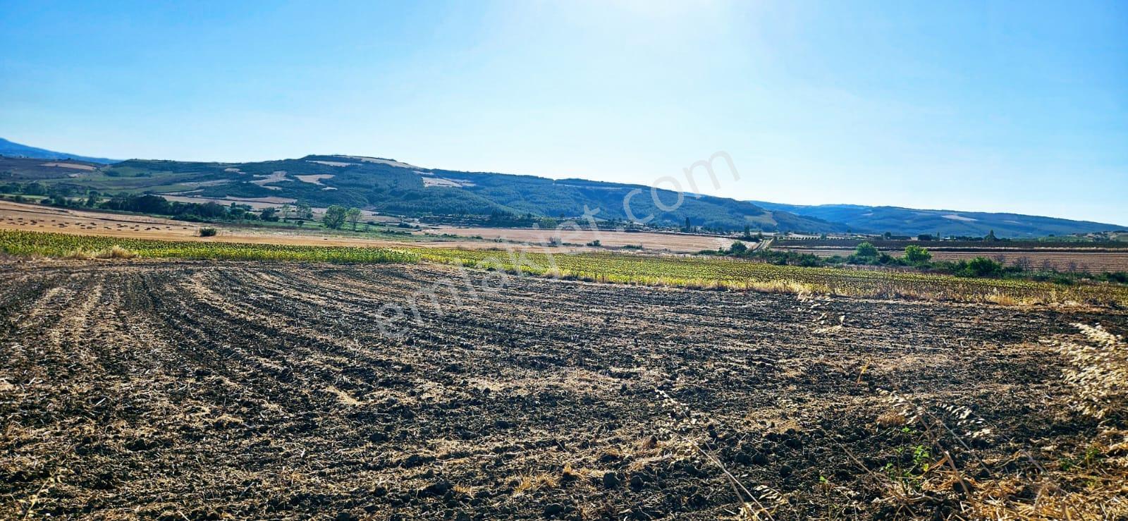 Asyaport Limanı Mevcut İmara Çok Yakın Bölgede Emsallerine Göre Fırsat Arazi Yüksek Kazanç Garantis - Görsel 20