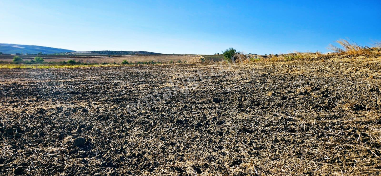 Asyaport Limanı Mevcut İmara Çok Yakın Bölgede Emsallerine Göre Fırsat Arazi Yüksek Kazanç Garantis - Görsel 12