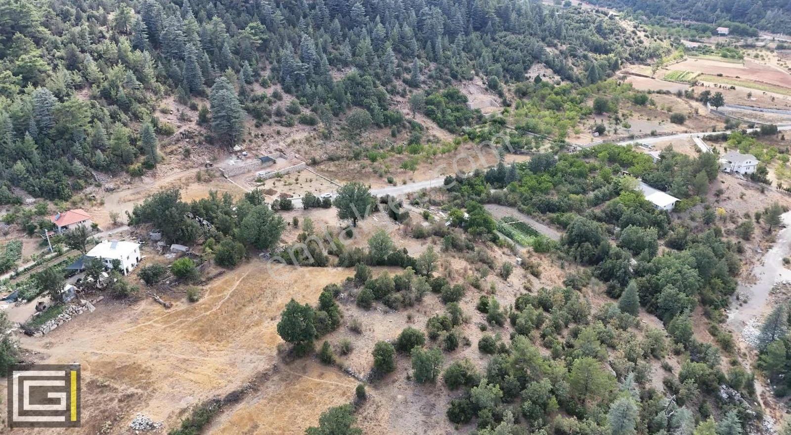 Yayla Koruda 4611 M2 Müstakil Yol Cepheli Satılık Arazi - Görsel 7