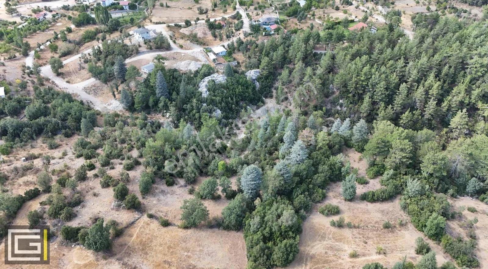 Yayla Koruda 4611 M2 Müstakil Yol Cepheli Satılık Arazi - Görsel 6