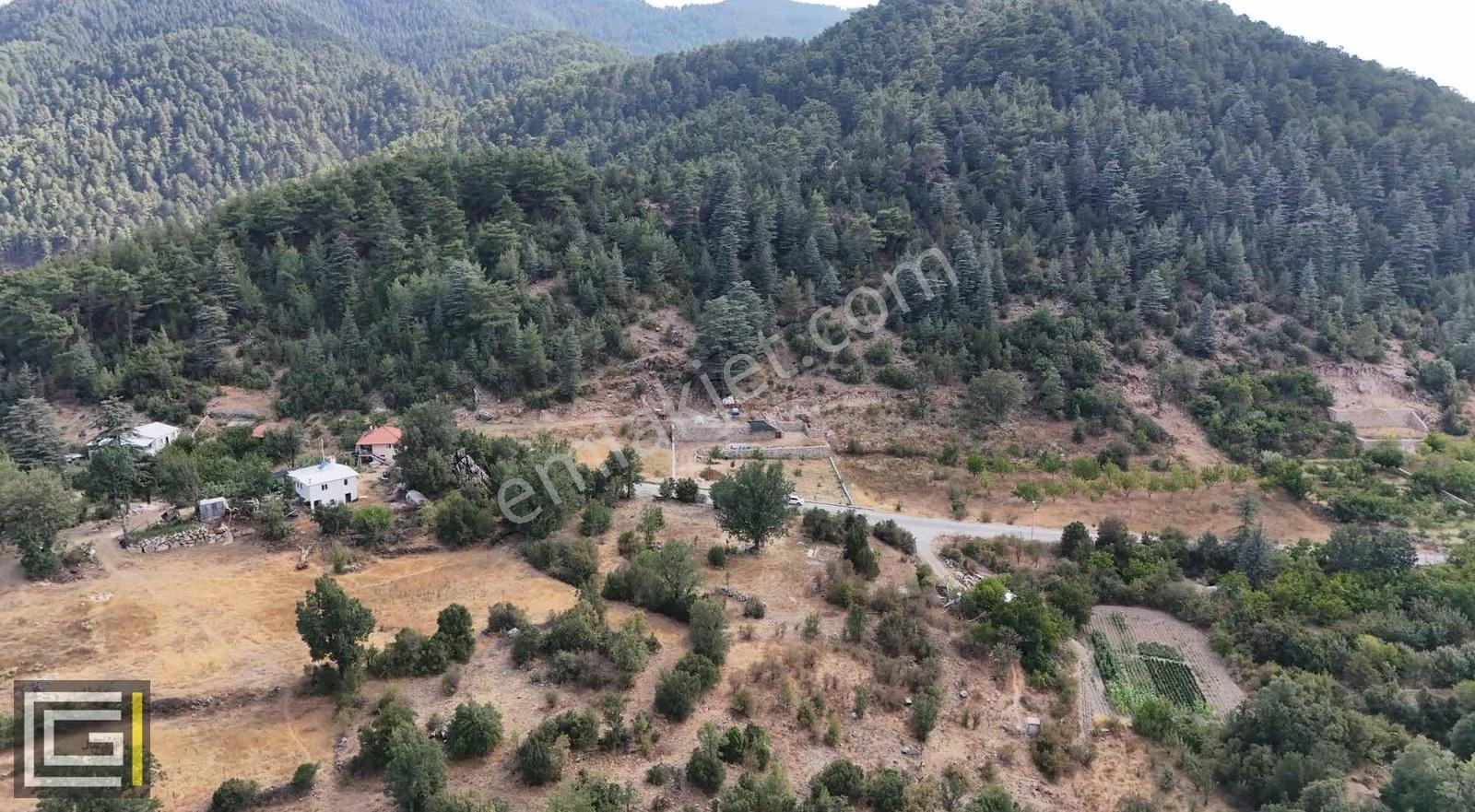 Yayla Koruda 4611 M2 Müstakil Yol Cepheli Satılık Arazi - Görsel 11