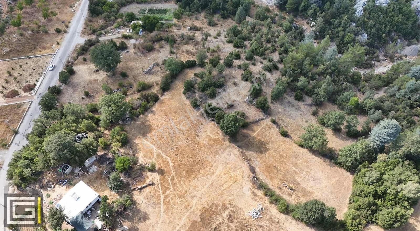 Yayla Koruda 4611 M2 Müstakil Yol Cepheli Satılık Arazi - Görsel 4