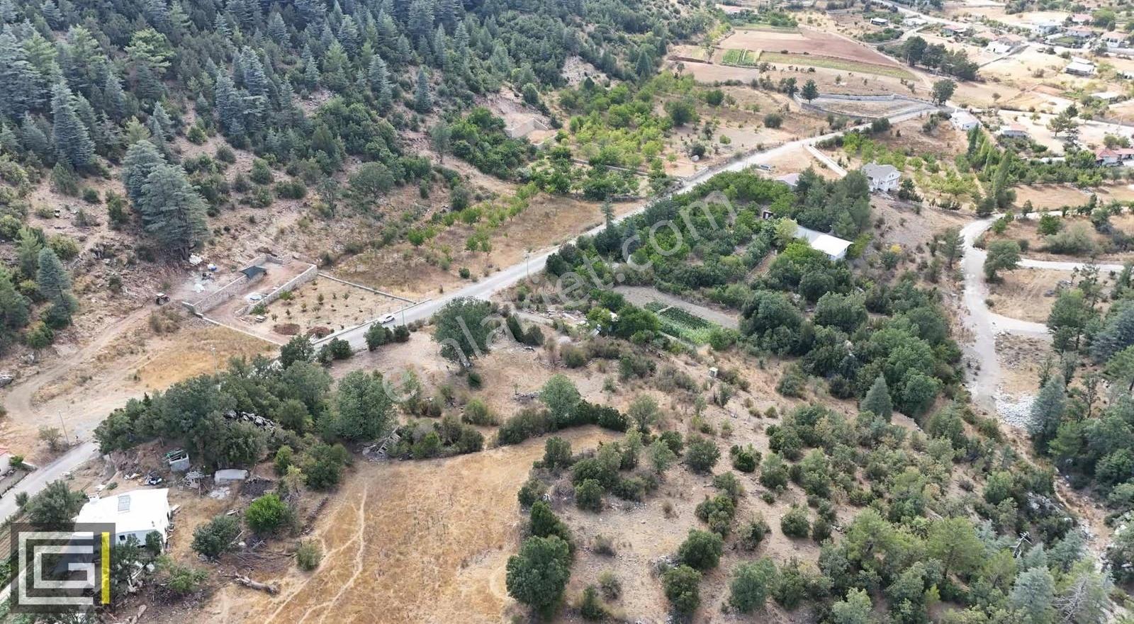 Yayla Koruda 4611 M2 Müstakil Yol Cepheli Satılık Arazi - Görsel 2