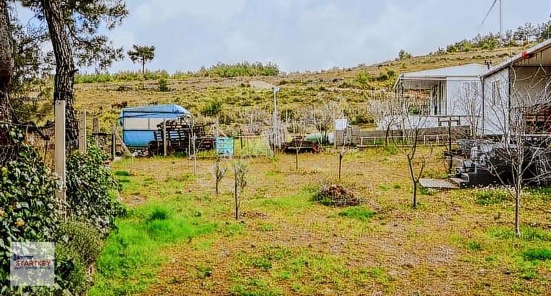 İzmir Kemalpaşa Damlacık Mh Satılık Bahçe