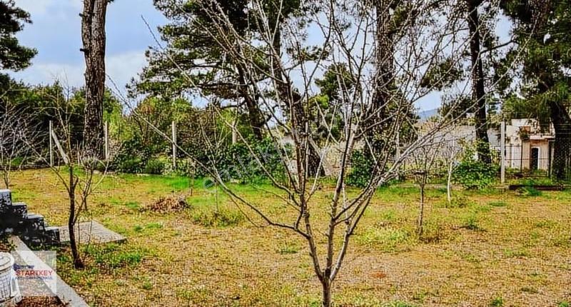 İzmir Kemalpaşa Damlacık Mh Satılık Bahçe - Görsel 5