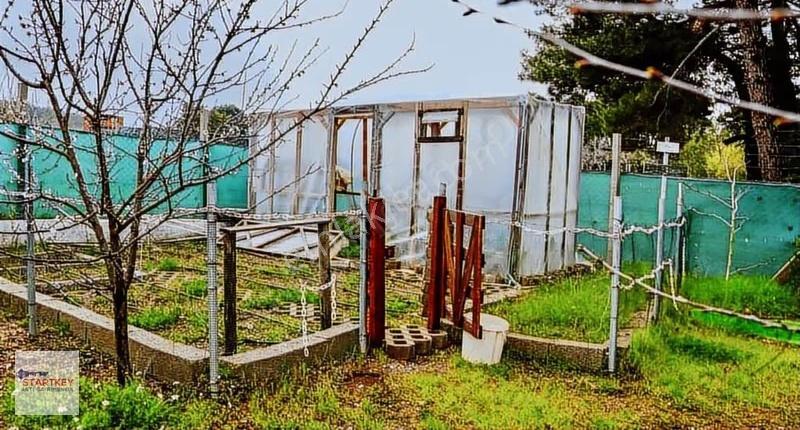 İzmir Kemalpaşa Damlacık Mh Satılık Bahçe - Görsel 4